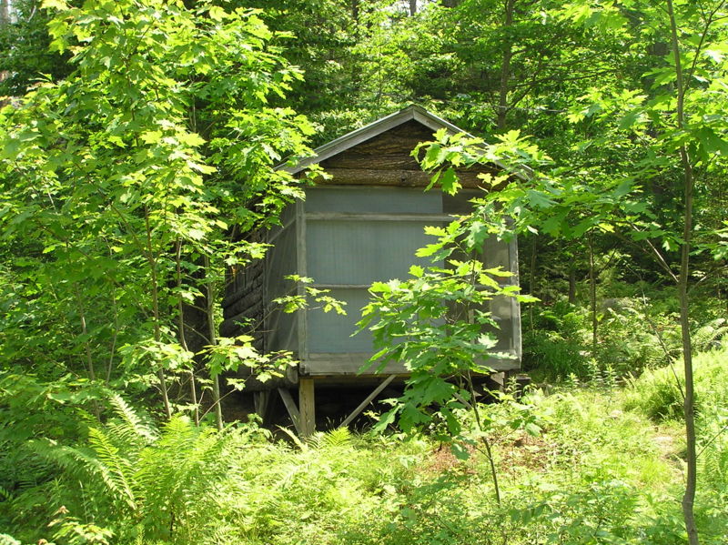File:Rats nest.jpg