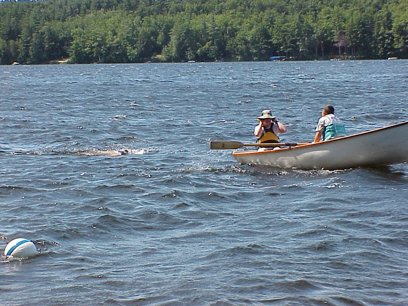 File:Wills Whale 4.jpg