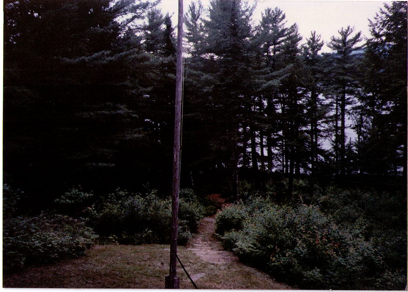 File:FromFlag89.jpg