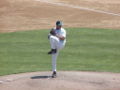 Dogs Pitcher.jpg