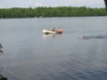 IMG 1448.JPG