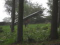 Thumbnail for version as of 18:09, 22 October 2008