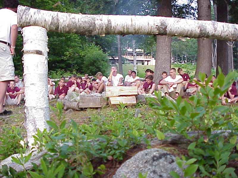 File:Tree T 3.jpg