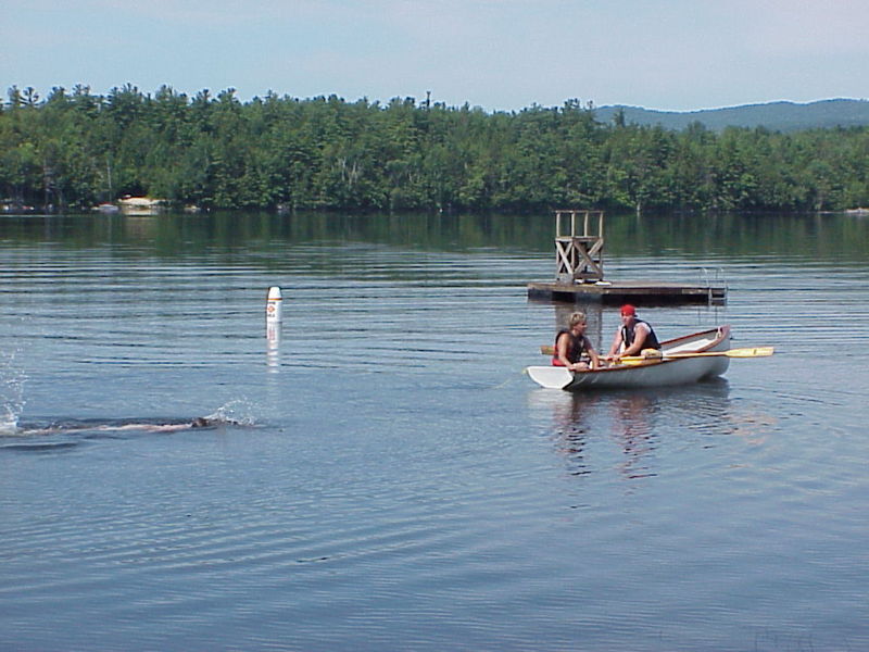 File:Jenks Whale 4.jpg