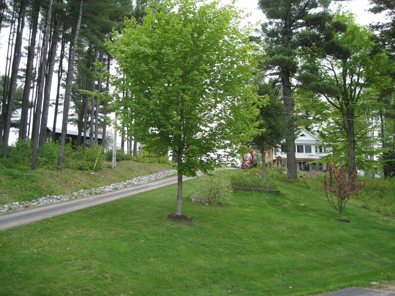 File:2009-05-16 IMG 7492.jpg