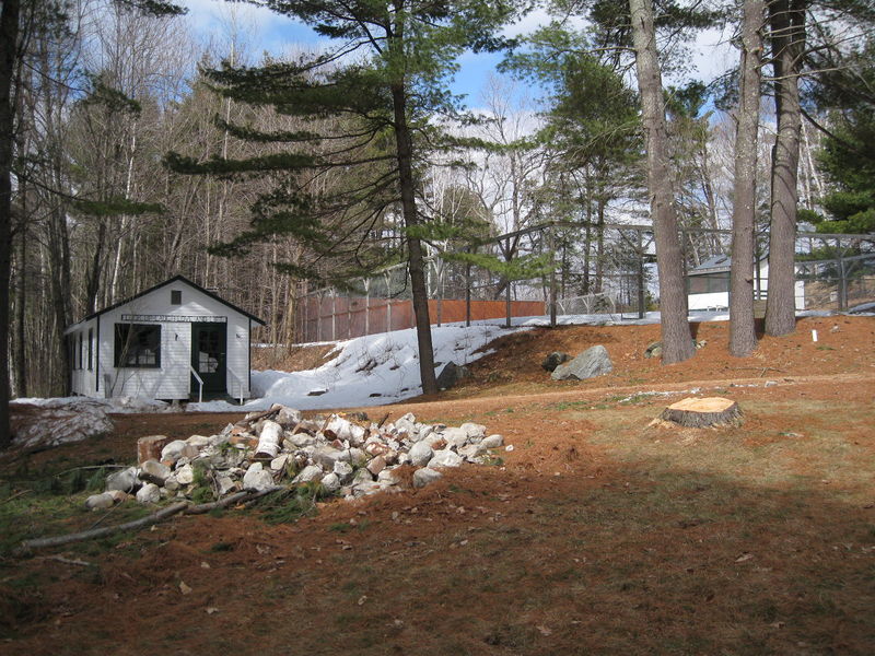 File:2009-03-31 IMG 7182.jpg