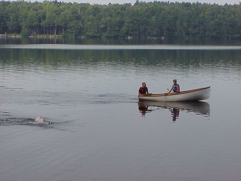 File:Galens Whale 2.jpg