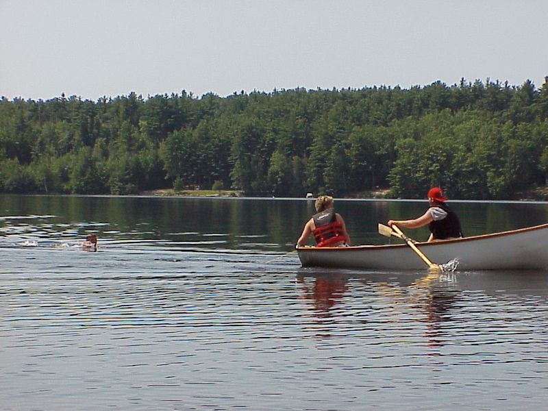 File:Jenks Whale.jpg