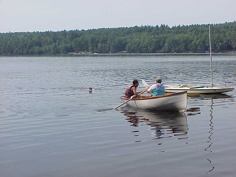 File:Bens Whale.jpg
