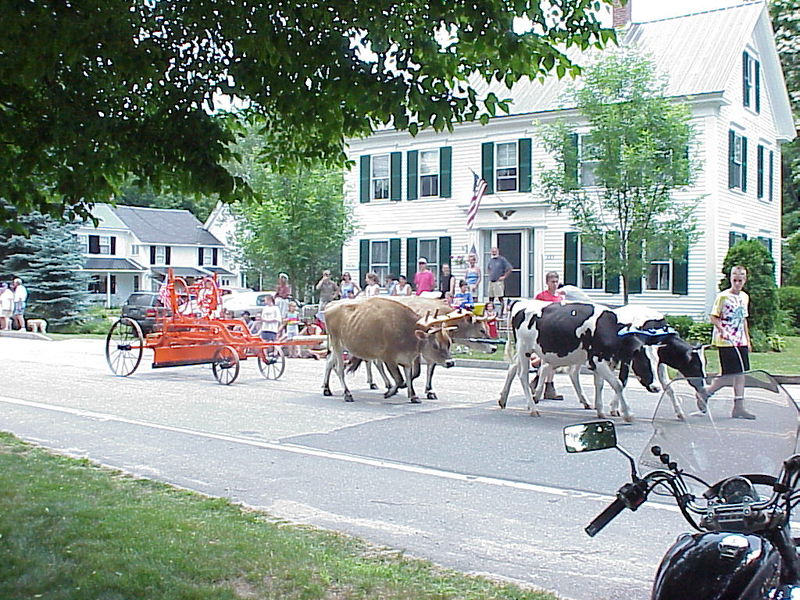 File:Parade 6.jpg