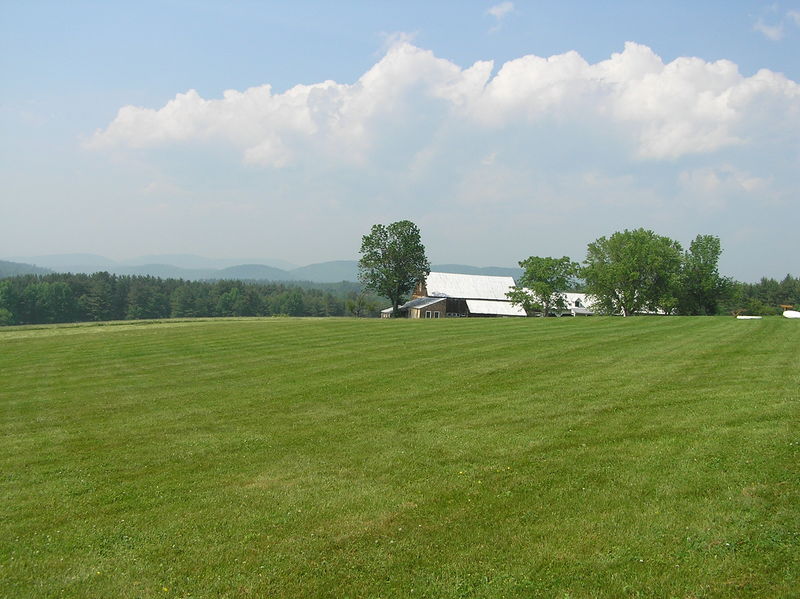 File:Field.jpg
