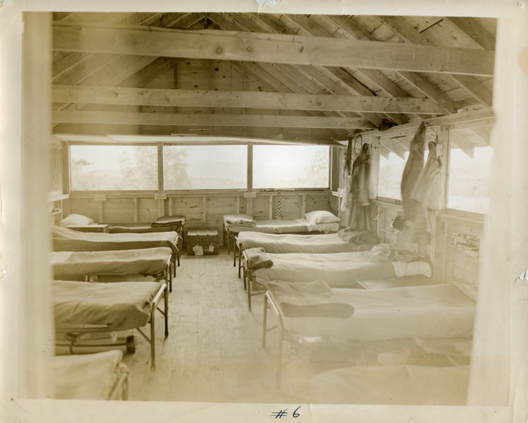 File:Buzzards40s.jpg